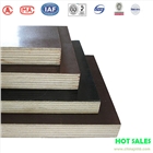 建筑用木模板生產(chǎn)廠家 156-2099-7913